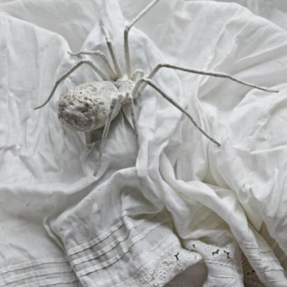 Meet your Posher, Janelle